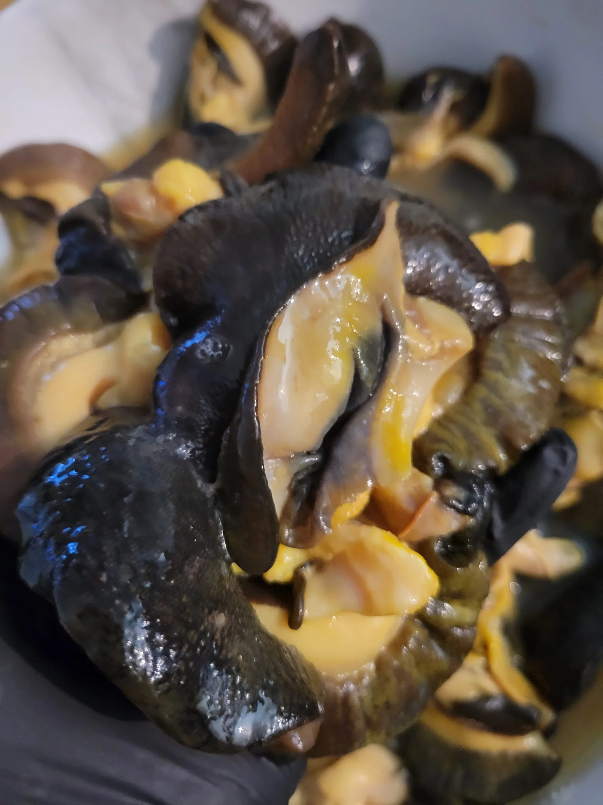 JUMBO BUSHSNAILS - 20PCS IN A PACK - Image 3