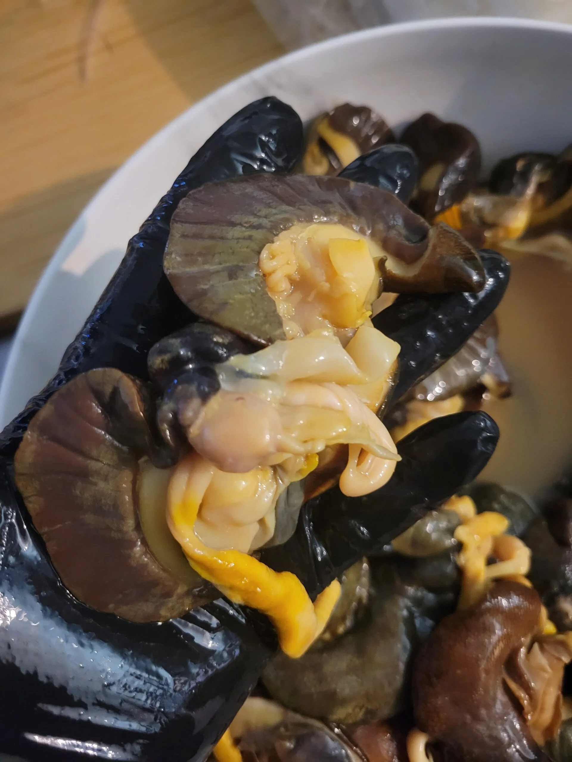 JUMBO BUSHSNAILS - 20PCS IN A PACK - Image 4