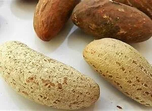 OROGBO 8pcs