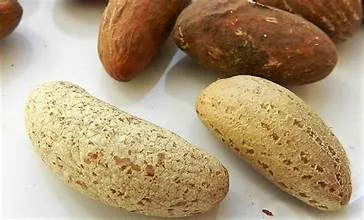 OROGBO 8pcs