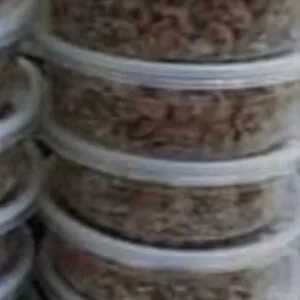 FRESH IRU/ LOCUST BEANS
