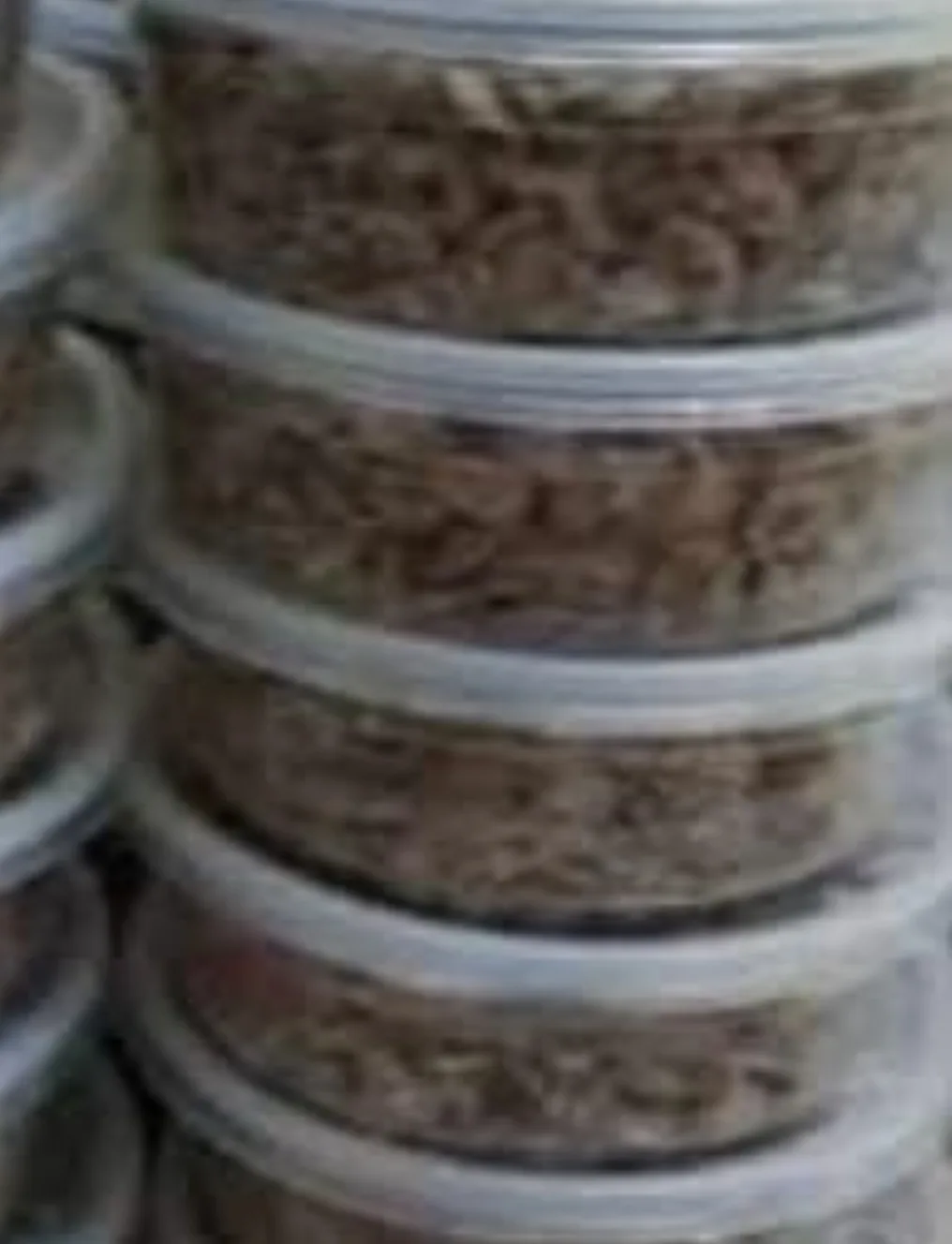 FRESH IRU/ LOCUST BEANS