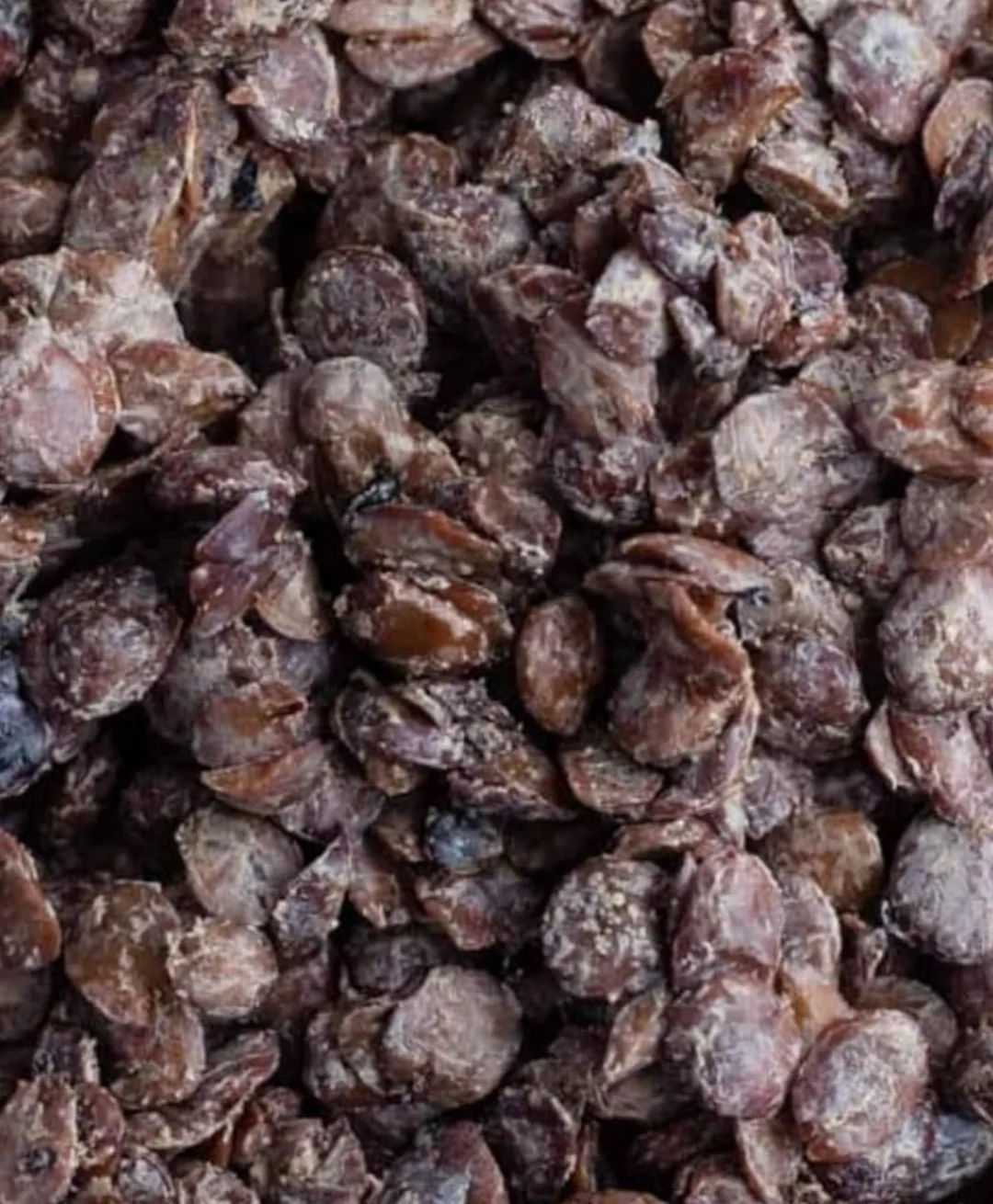 FRESH IRU/ LOCUST BEANS - Image 2