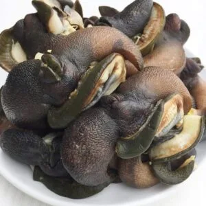 FRESH JUMBO BUSH-SNAILS