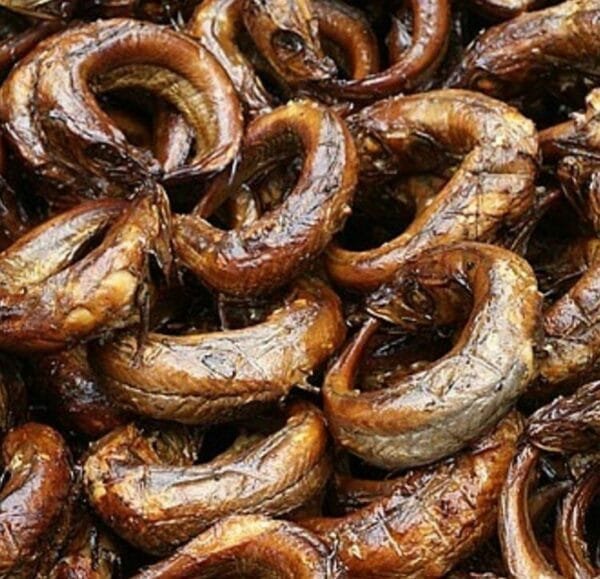 EJA KIKA (SLIGHTLY GRILLED PANLA ) - freezer grade